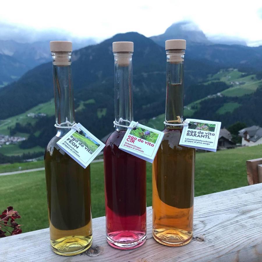 Apartament Alpinus Agriturism San Martino in Badia Zewnętrze zdjęcie