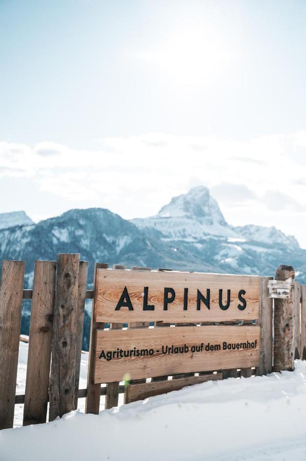 Apartament Alpinus Agriturism San Martino in Badia Zewnętrze zdjęcie